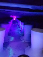 detection-fluo-fuites