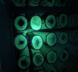 DETECTION DES FUITES POUDRE FLUO-MAINTENANCE (1)